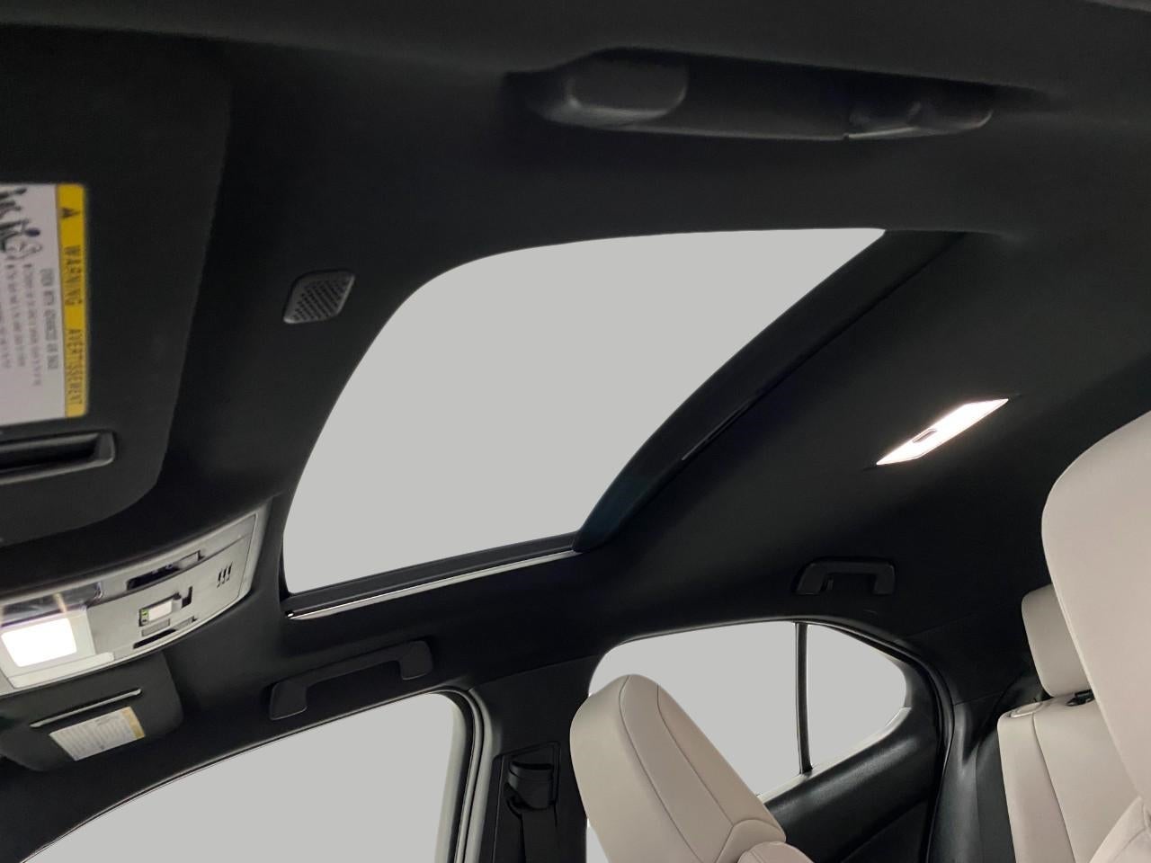 2022 Lexus UX UX 250h AWD