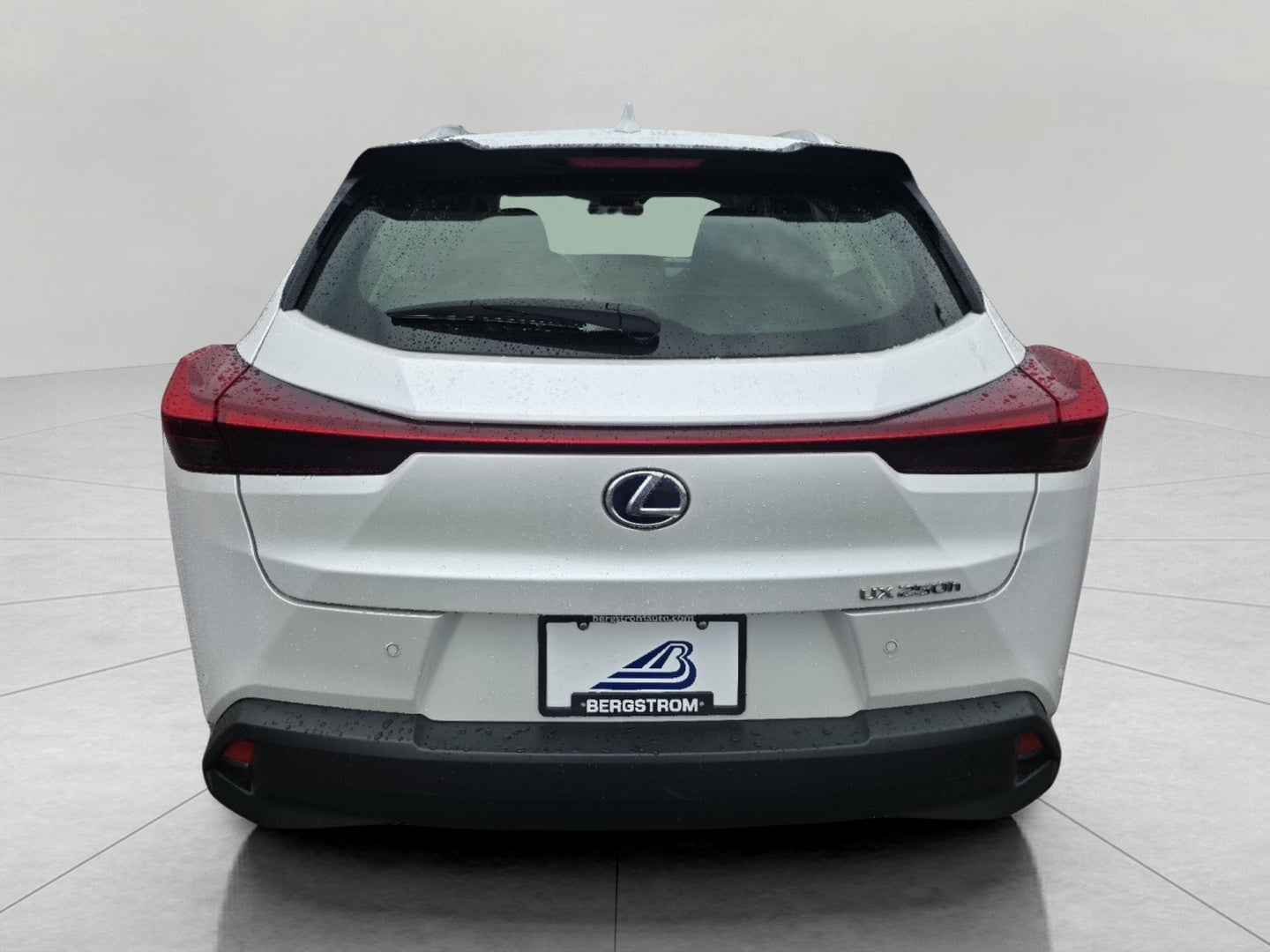 2021 Lexus UX UX 250h AWD